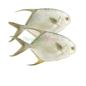 Cá chim nước ngọt nguyên con làm sạch