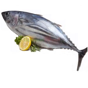 Cá ngừ đại dương nhỏ cấp đông 1kg