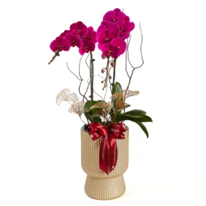 Congratulatory Flowers 4