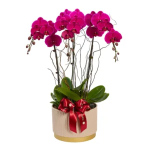 Congratulatory Flowers 3